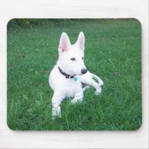 Tapis de souris de détente de berger