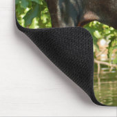Tapis de souris de dobermann (Coin)