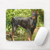 Tapis de souris de dobermann (Avec souris)