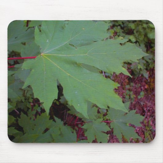 Tapis de souris de feuille d'érable (Devant)