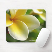 tapis de souris de frangipani (Avec souris)