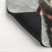 tapis de souris de furet (Coin)
