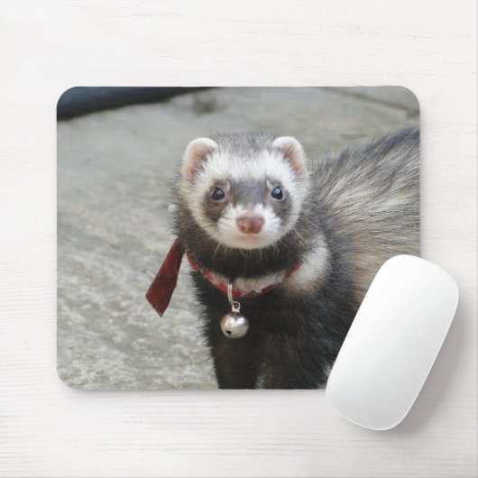 tapis de souris de furet (Avec souris)