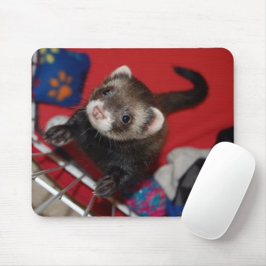 Tapis de souris de furet (Avec souris)