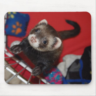 Tapis de souris de furet