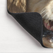 Tapis de souris de golden retriever (Coin)