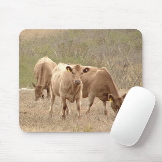 tapis de souris de gris de Murray (Avec souris)