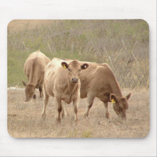 tapis de souris de gris de Murray