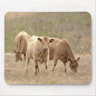 tapis de souris de gris de Murray