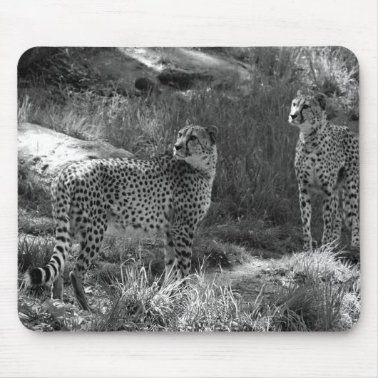 Tapis de souris de guépard (Devant)