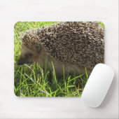 Tapis de souris de hérisson (Avec souris)