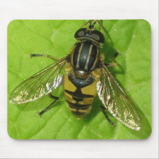 Tapis de souris de Hoverfly