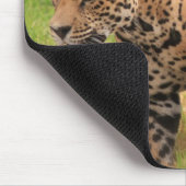 Tapis de souris de Jaguar (Coin)