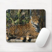 Tapis de souris de Jaguar de Panthera (Avec souris)