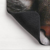 Tapis de souris de Kitty "d'yeux bleus (Coin)