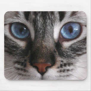 Tapis de souris de Kitty "d'yeux bleus