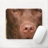 Tapis de souris de laboratoire de chocolat (Avec souris)