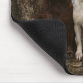 tapis de souris de labrado (Coin)