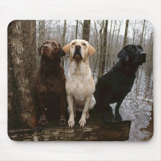 tapis de souris de labrado (Devant)