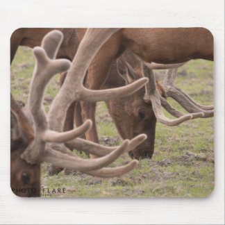 Tapis de souris de l'Alaska