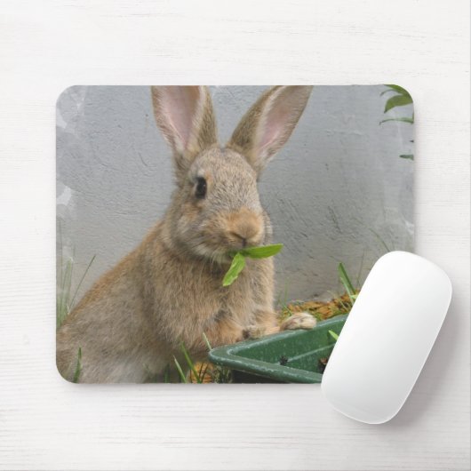 Tapis de souris de lapin de lapin (Avec souris)