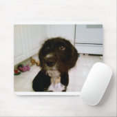 Tapis de souris de Lilypad (Avec souris)