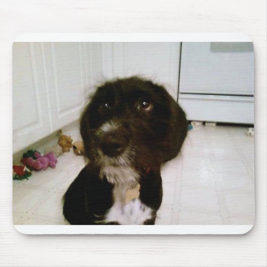 Tapis de souris de Lilypad (Devant)