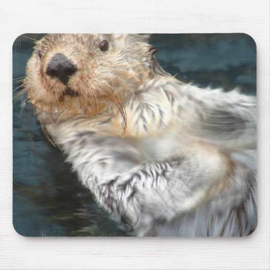 Tapis de souris de loutre de mer (Devant)