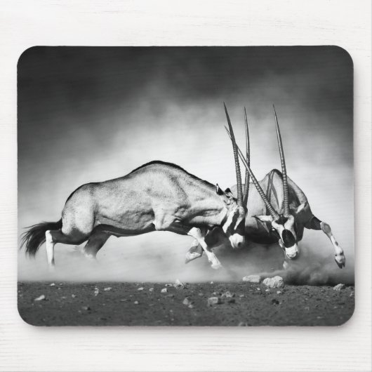 Tapis de souris de lutte des antilopes (Devant)