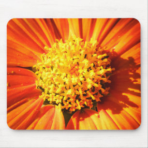 Tapis de souris de macro fleur orange radieuse Pho