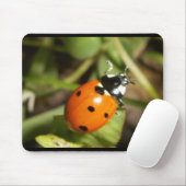 Tapis de souris de Madame Bug (Avec souris)