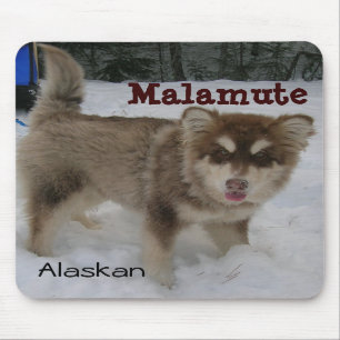 Tapis de souris de Malamute d'Alaska