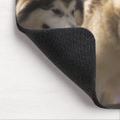 Tapis de souris de Malamutes d'Alaska (Coin)