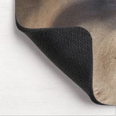 Tapis de souris de mâle de Whitetail (Coin)