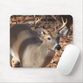 Tapis de souris de mâle de Whitetail (Avec souris)