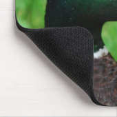 Tapis de souris de Mallard (Coin)