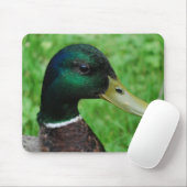 Tapis de souris de Mallard (Avec souris)
