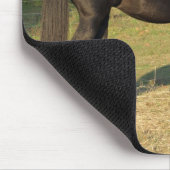 Tapis de souris de marche de jument de cheval du (Coin)