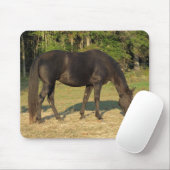 Tapis de souris de marche de jument de cheval du (Avec souris)