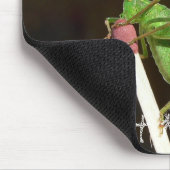 Tapis de souris de match de cricket (Coin)