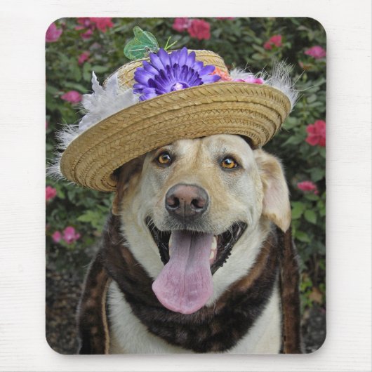 Tapis de souris de Mlle Pickles (Devant)