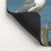 Tapis de souris de mouettes (Coin)