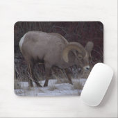 Tapis de souris de moutons de Big Horn (Avec souris)