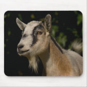 Tapis de souris de observation de chèvre (Devant)