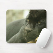 Tapis de souris de panthère de sommeil (Avec souris)
