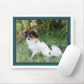 Tapis de souris de Papillion (Avec souris)