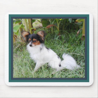 Tapis de souris de Papillion