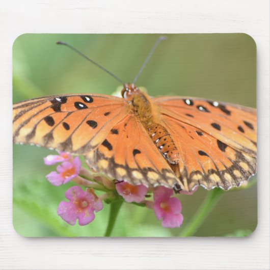 Tapis de souris de papillon (Devant)
