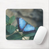 Tapis de souris de papillon (Avec souris)