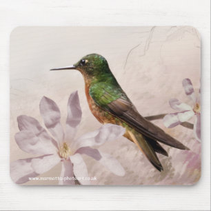 Tapis de souris de Pechicastaños